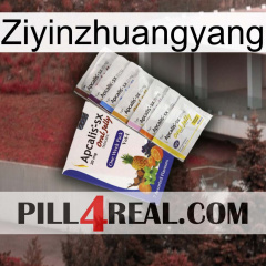 Ziyinzhuangyang 11